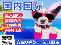 丹霞航空货运国际宠物托运 【国